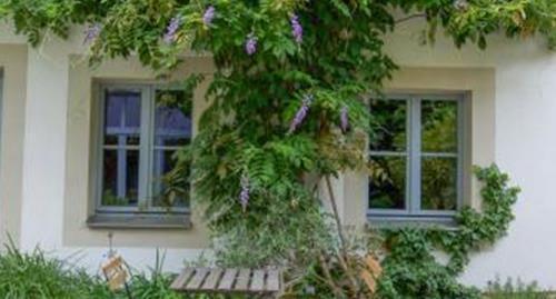 דרזדן Hofgarten 1824 Hotel Garni מראה חיצוני תמונה